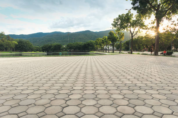 Best Driveway Pavers Near Me  in Pasadena, MD
